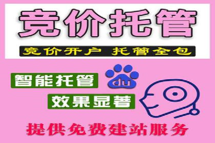 案例分享：SEM广告投放助力电商增长
